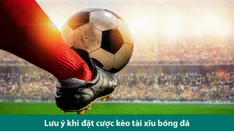 Cách đánh tài xỉu bóng đá hay từ dân chơi cá độ chuyên nghiệp